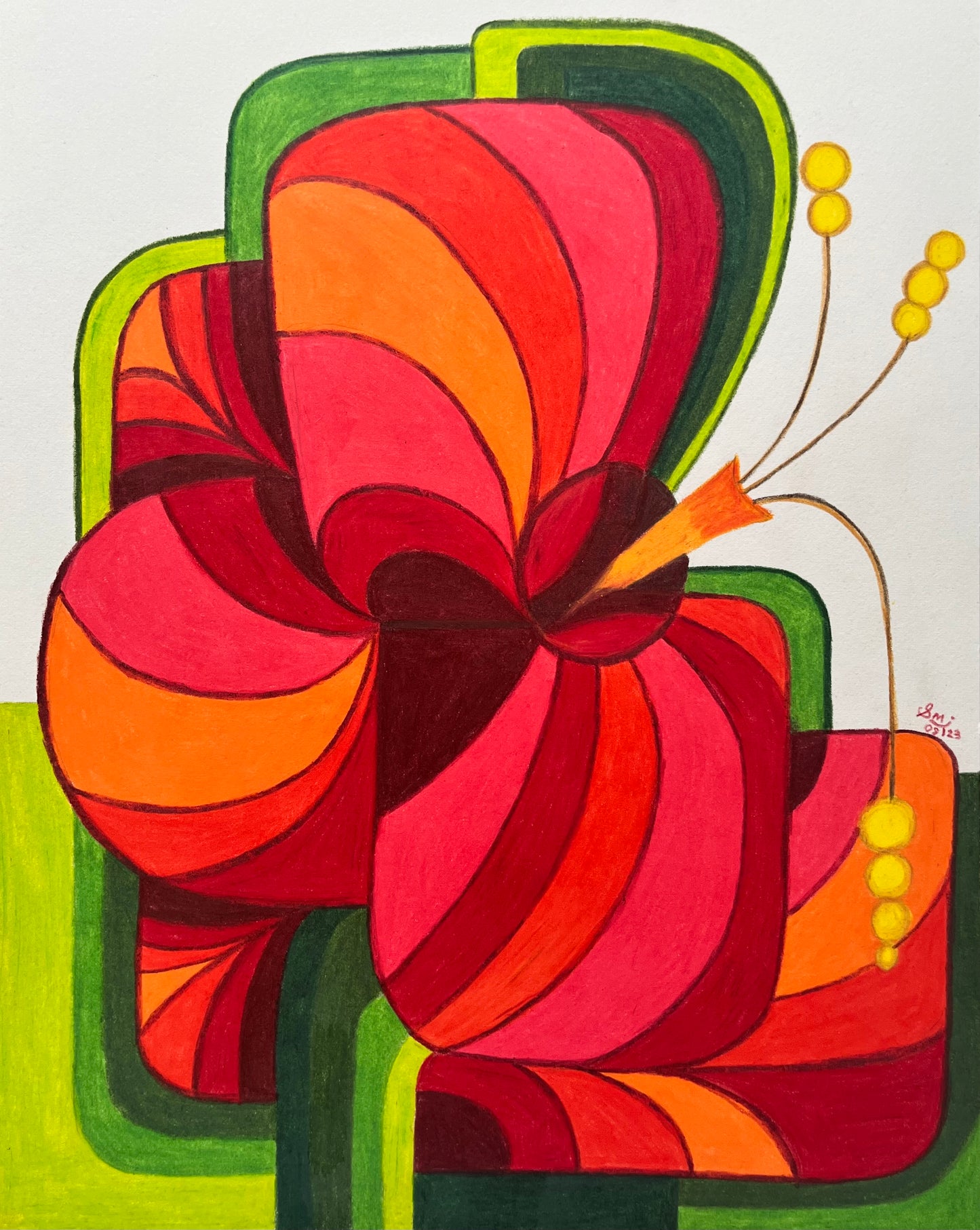 Hibiscus - Flower series