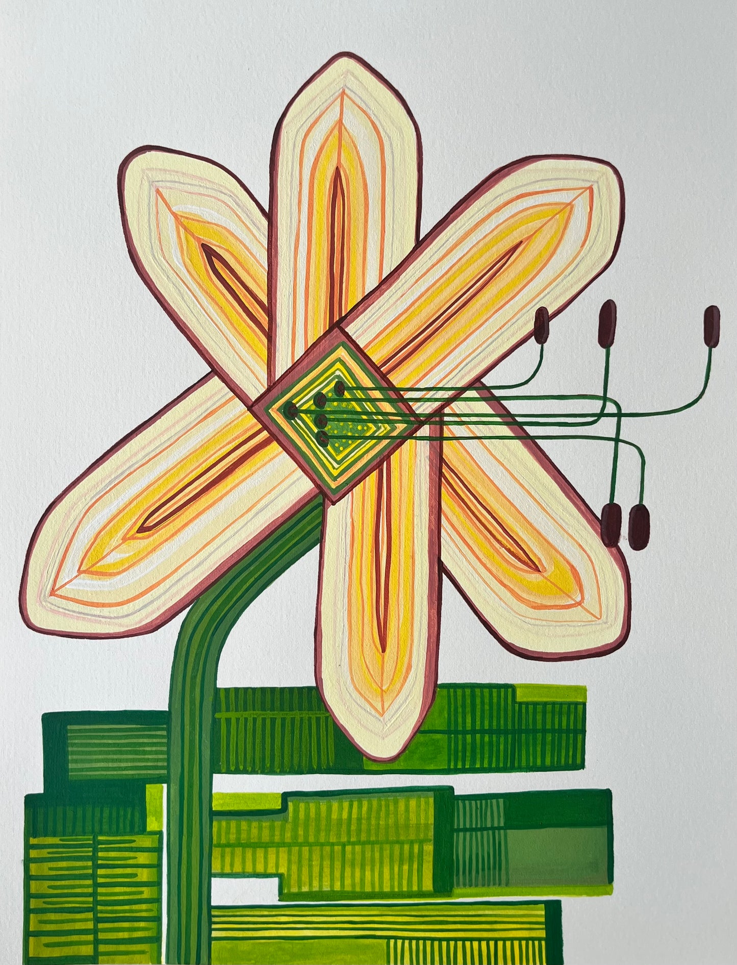 Lily- Flower series