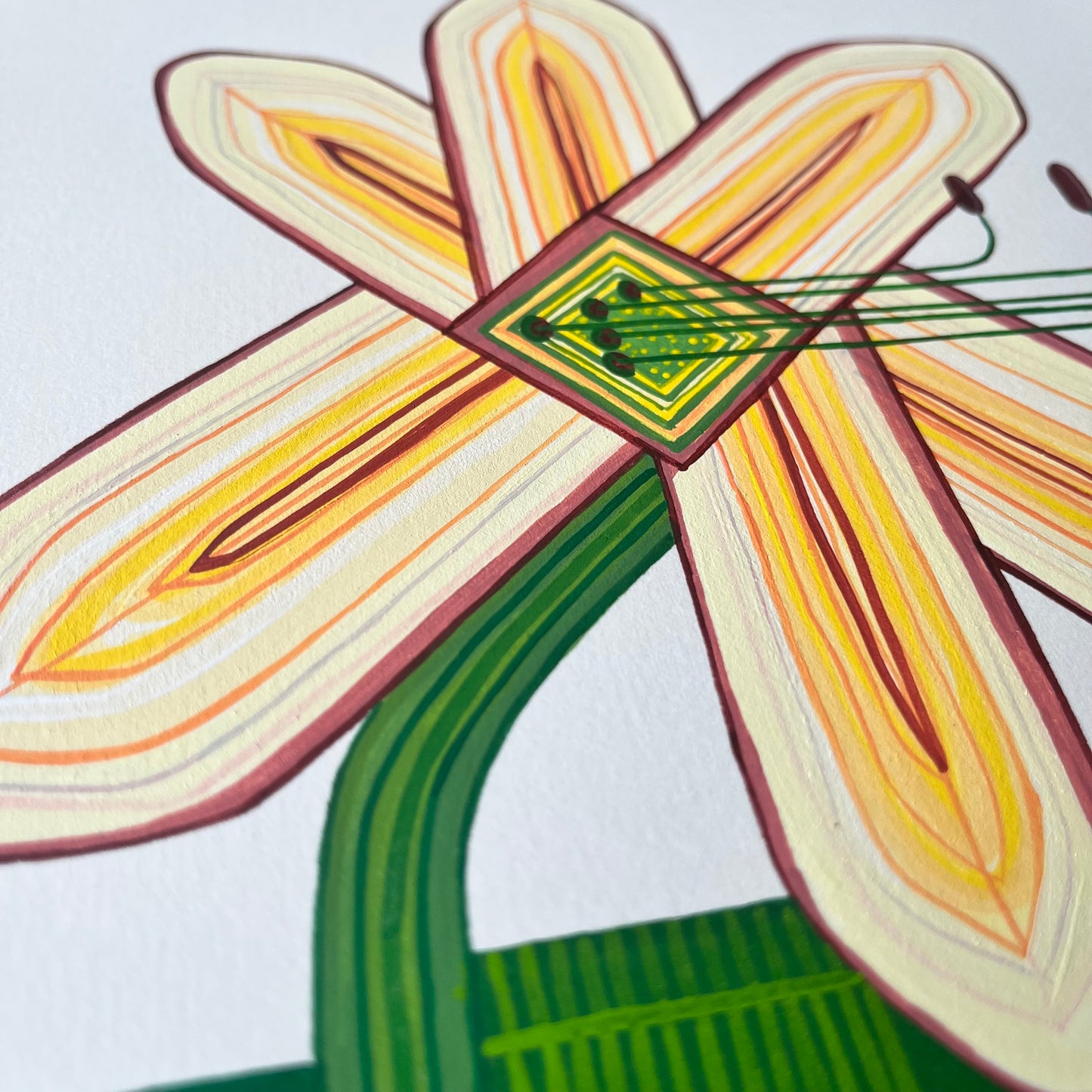 Lily- Flower series